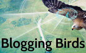 Blogging Birds logo