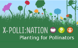 Planting for Pollinators logo