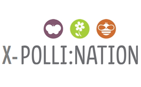 X-Polli:Nation logo